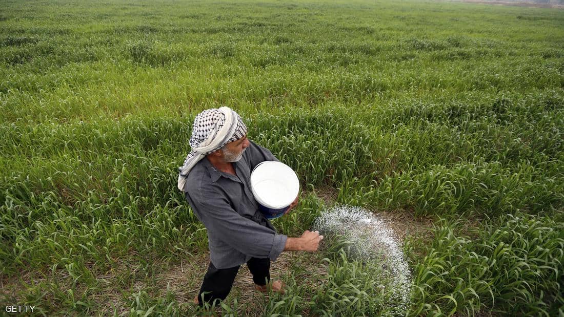 شركة أنوار الخليج تكشف تفاصيل مشروعها العملاق لإنتاج الرز بالعراق وأهدافه المرسومة